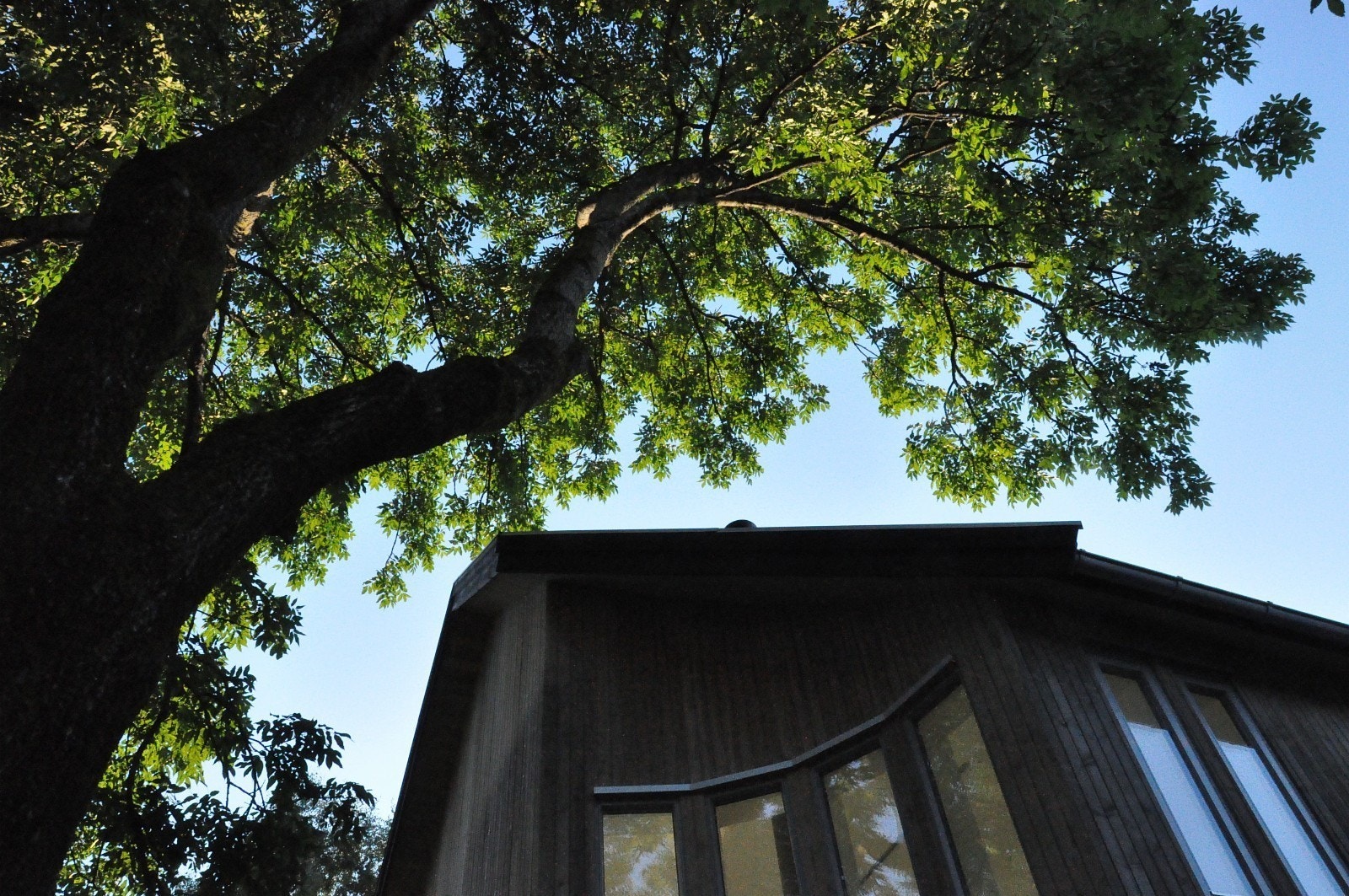 Tilpasset bolig til den gamle asken, tuntreet Galleribilde