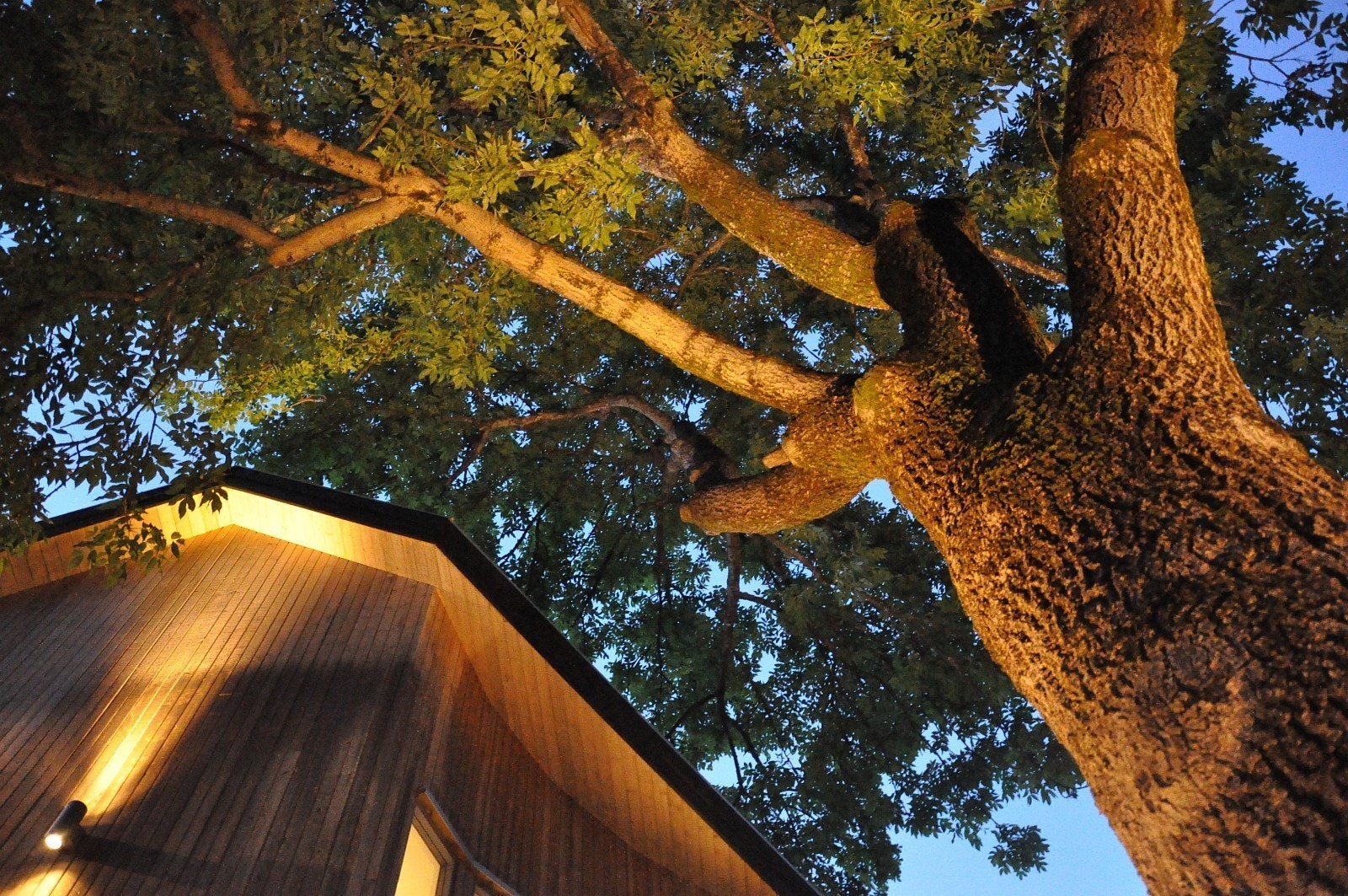 Kveldsbelysning tuntre Galleribilde