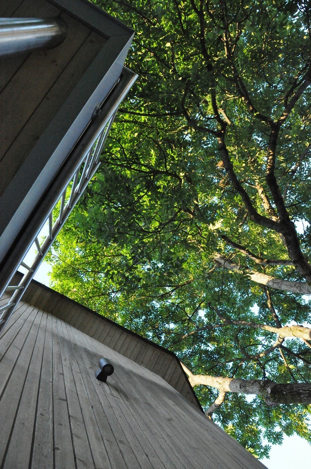 Detalj vegg Galleribilde