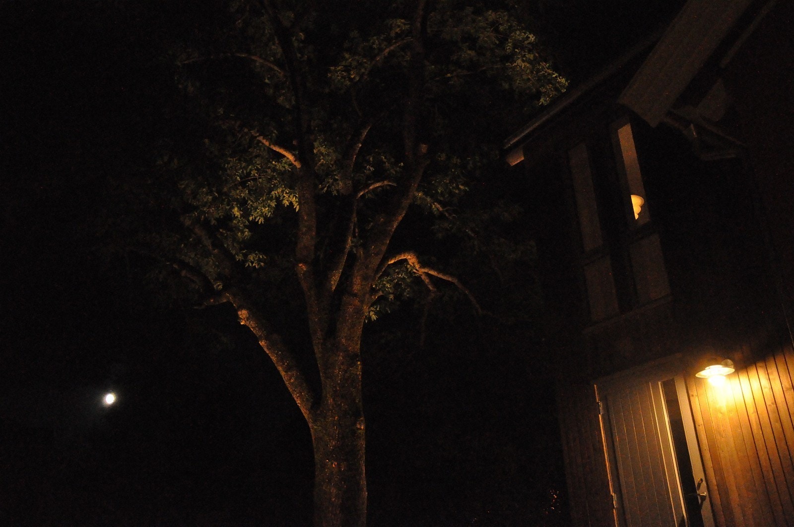 Kveldsbelysning og fullmåne Galleribilde