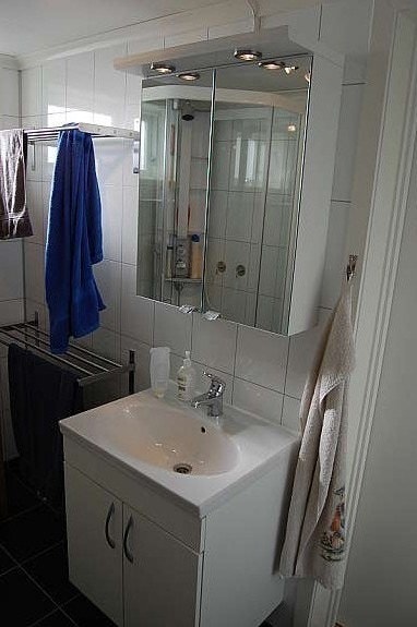 Bathroom #2 downstairs Galleribilde