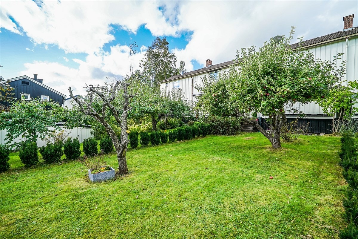 Hagen på nedsiden av huset Galleribilde
