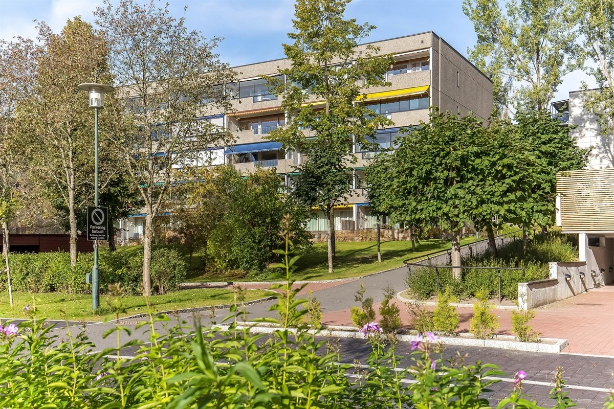 Fasade. Galleribilde