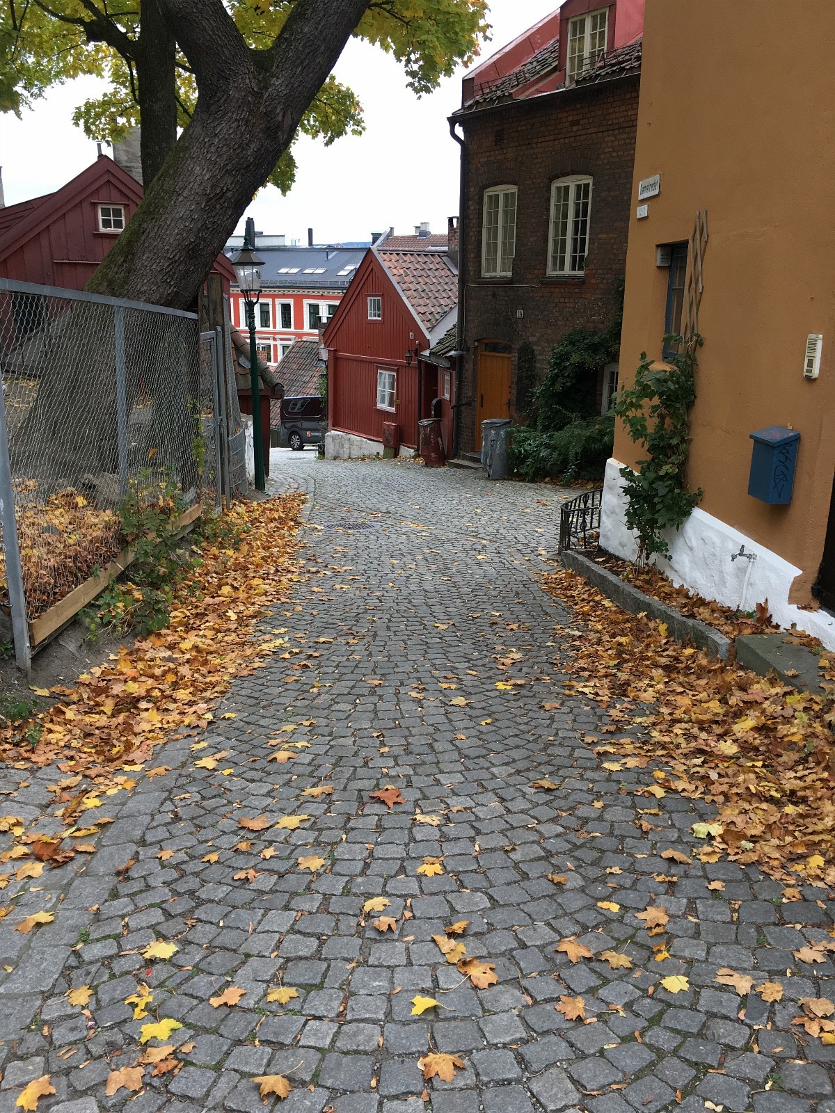 Høst i Damstredet Galleribilde