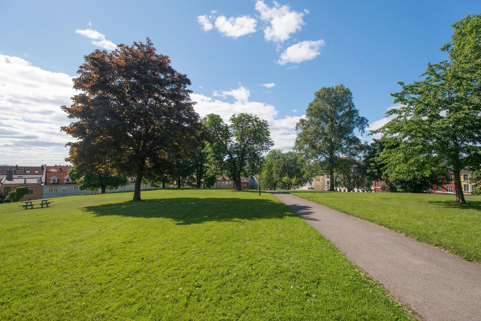 Vålerenga parken. Galleribilde