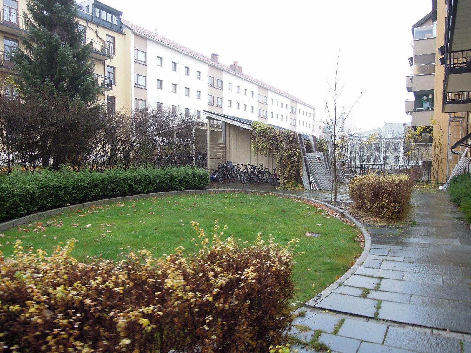 Bakgård Galleribilde