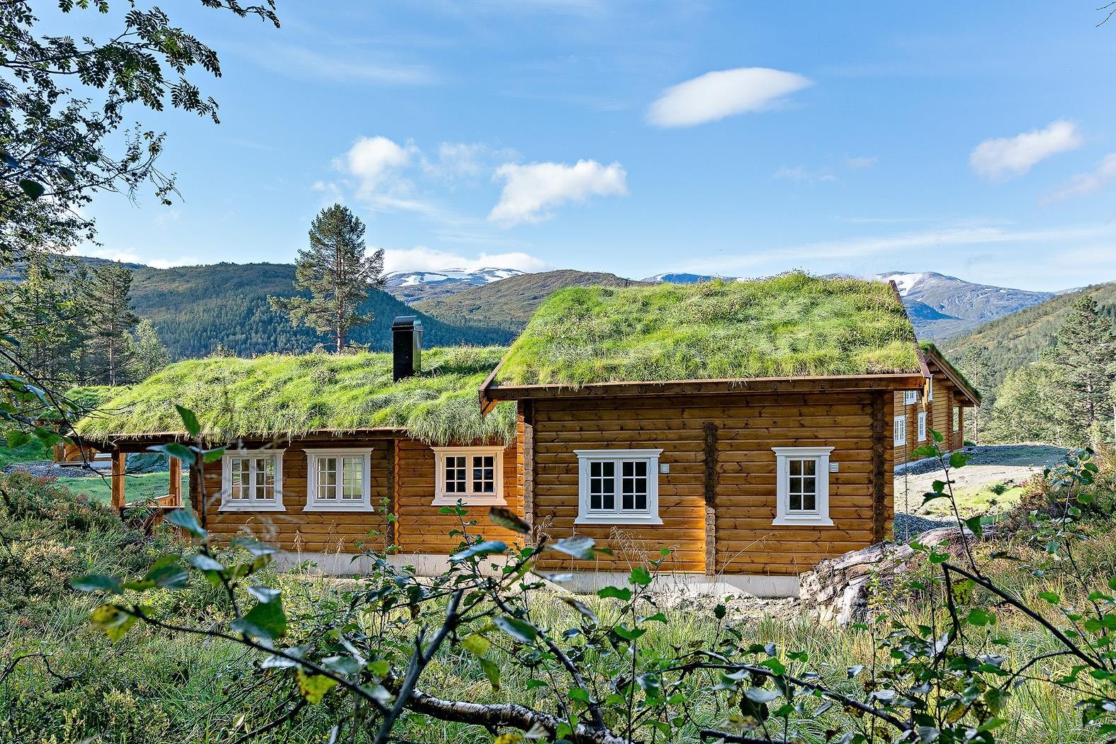 Splitter ny hytte med svært idyllisk beliggenhet på Mjølfjell Galleribilde