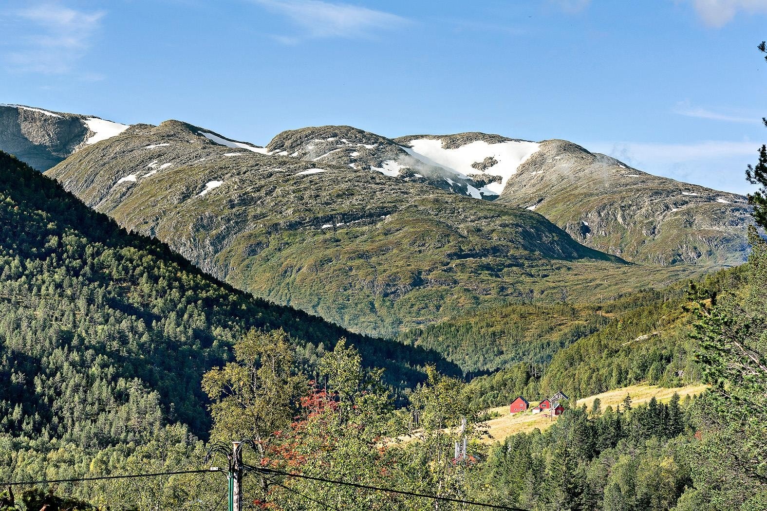 Idyllen er påtagelig Galleribilde