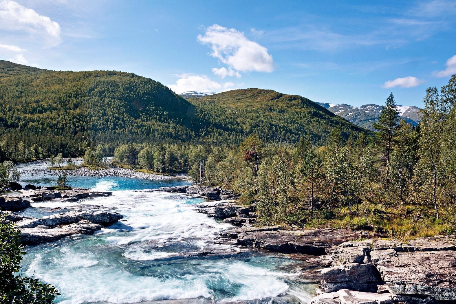 Praktfull natur på Mjølfjell Galleribilde