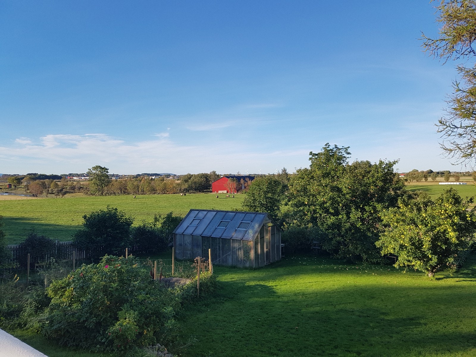 Utsikt mot hagen Galleribilde