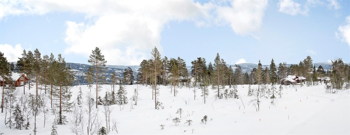 Panorama Galleribilde