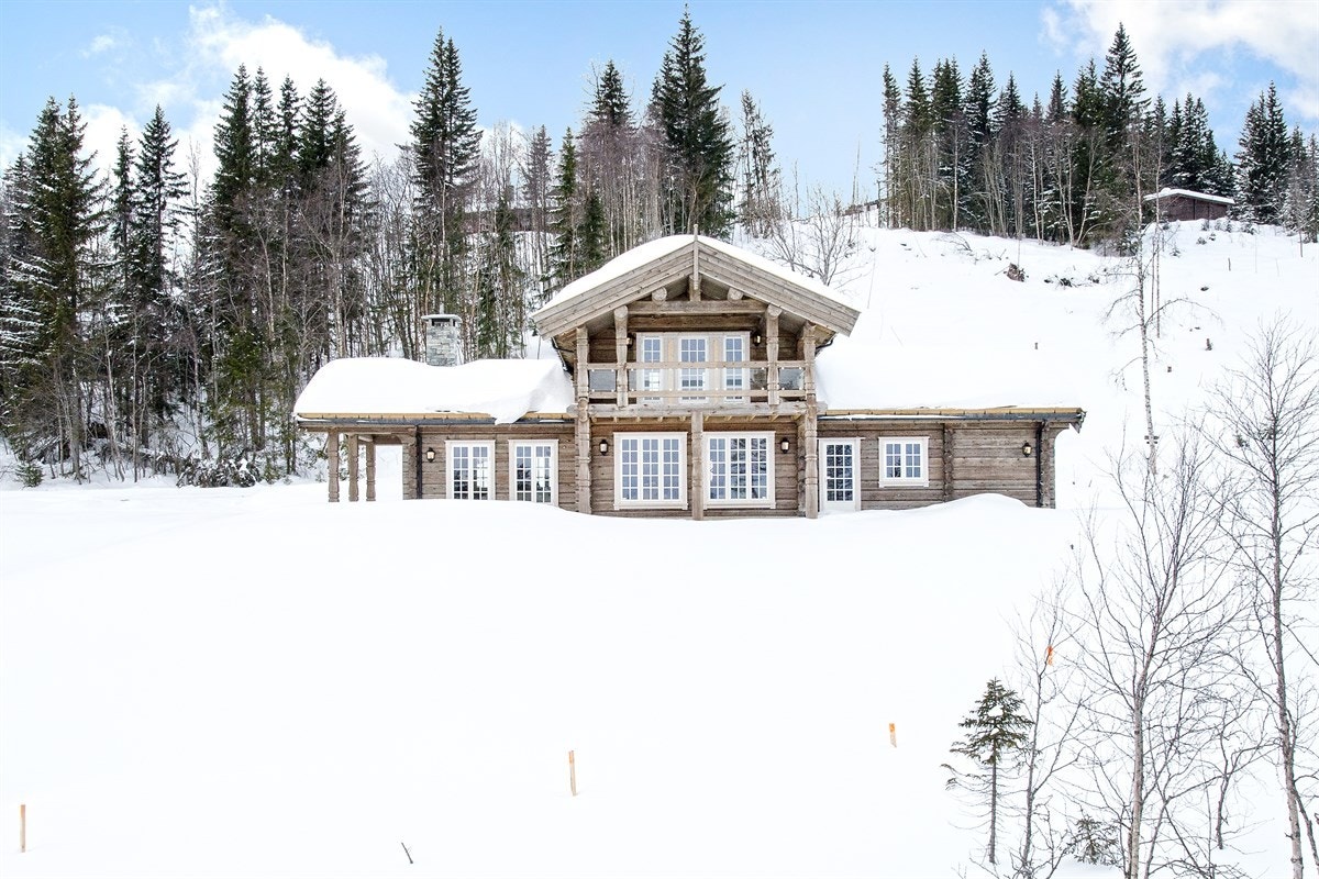 Fasade front Galleribilde