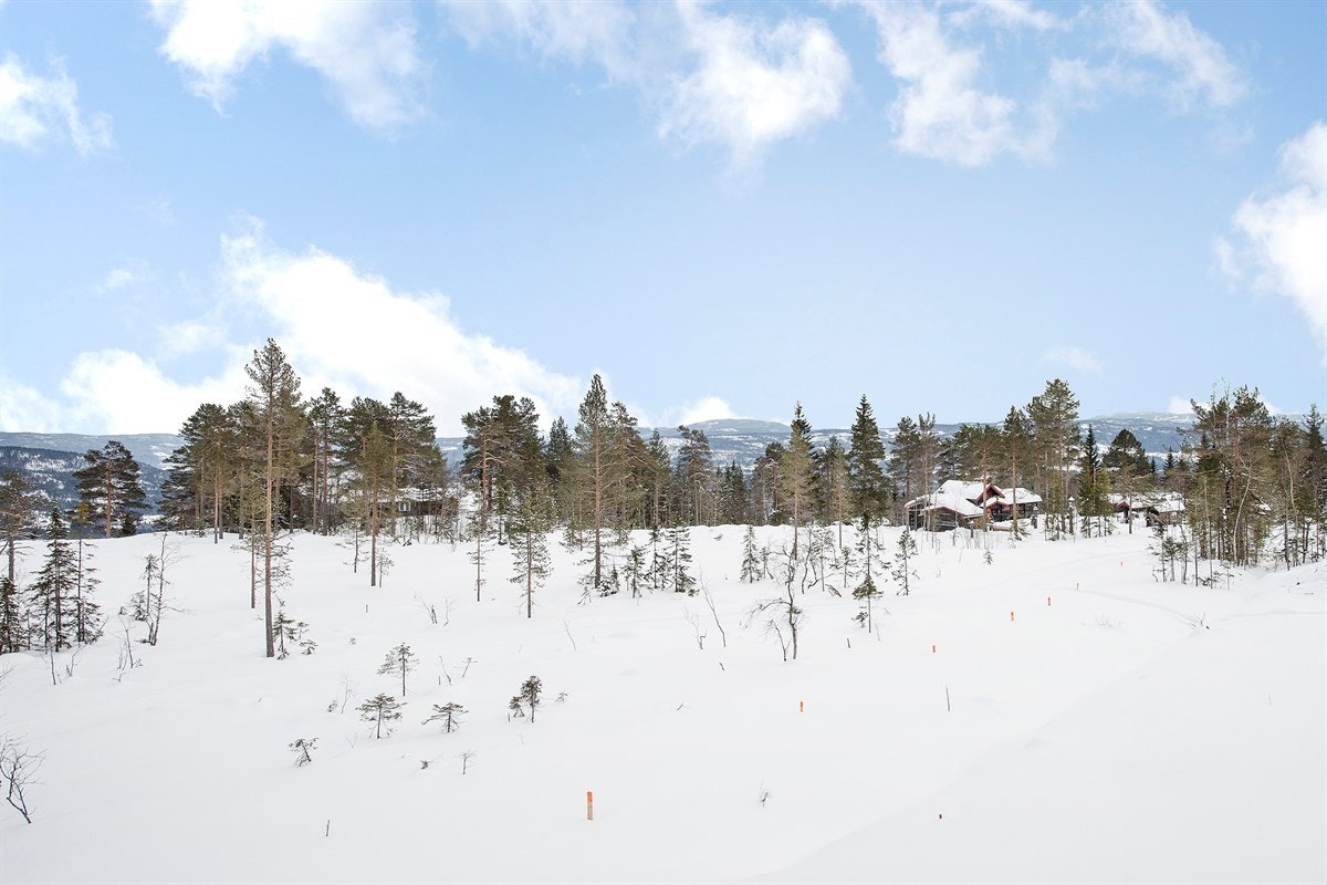 Området rundt Galleribilde