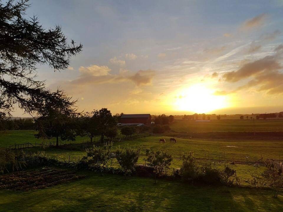 Utsikt fra veranda mot vest Galleribilde