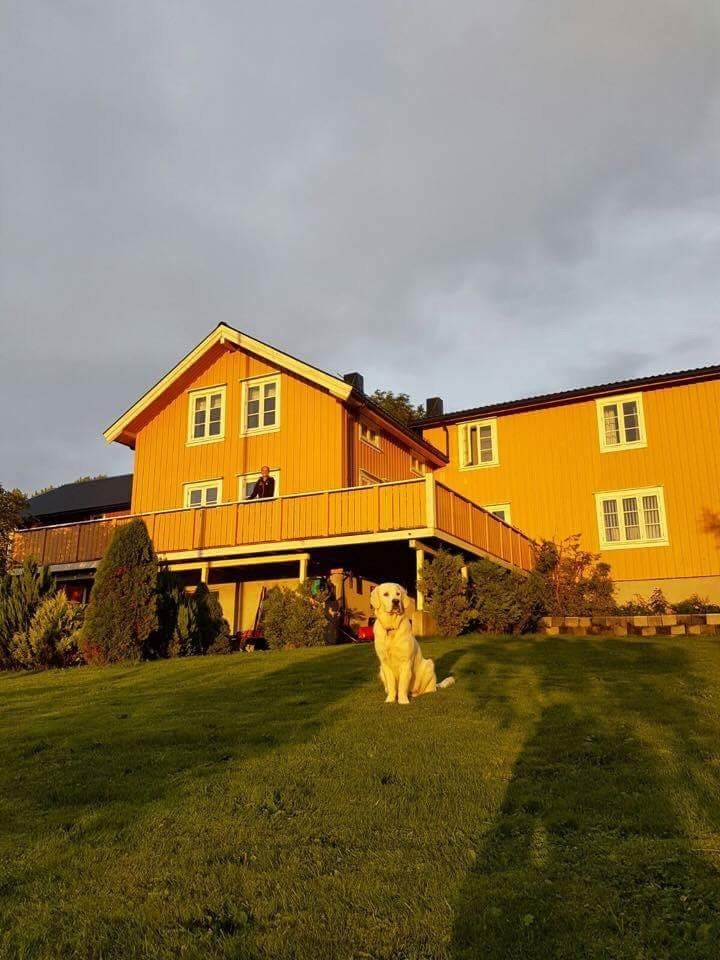 Utsikt fra hagen mot huset Galleribilde