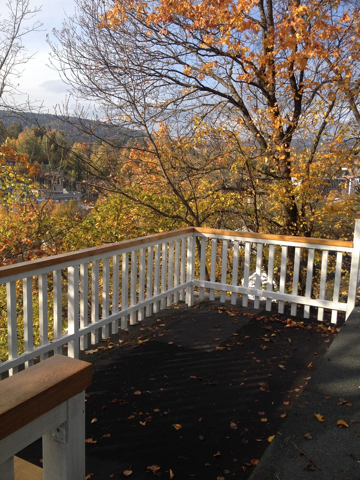 Stor usjenert sørvest vendt veranda Galleribilde