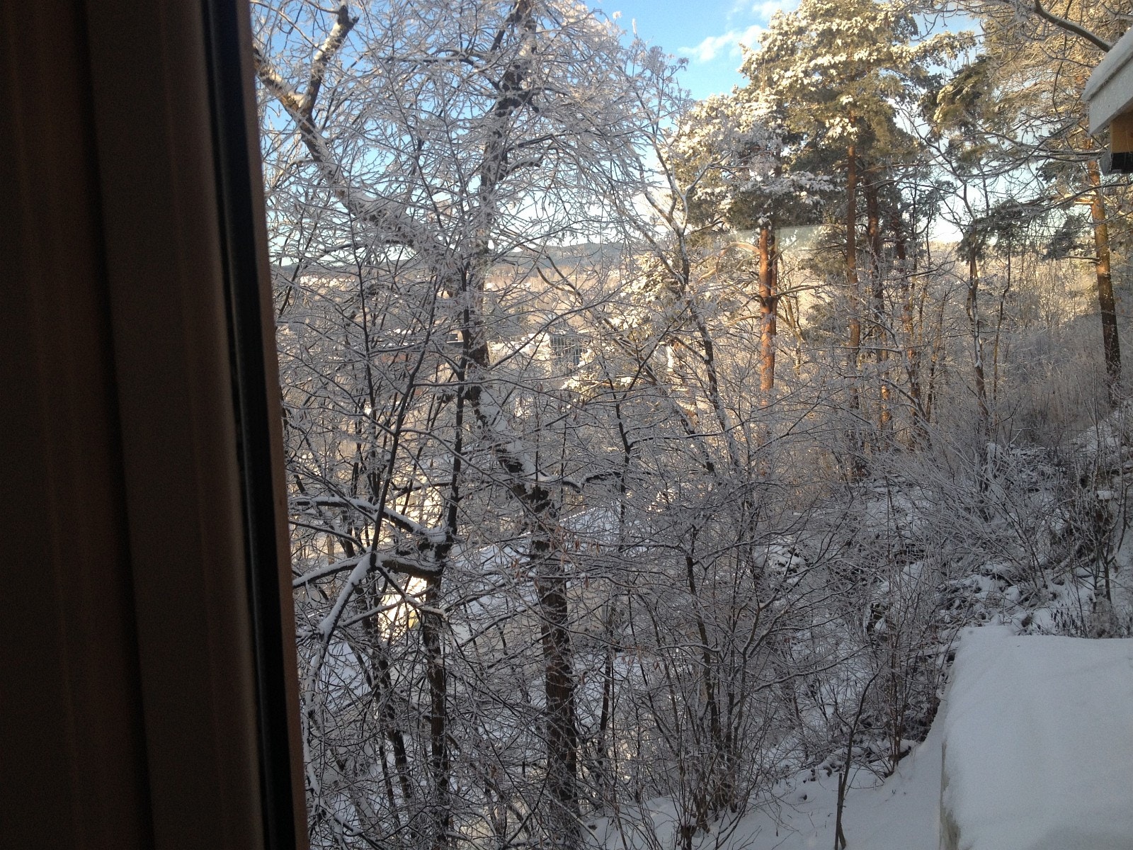 Utsikt fra kjøkkenvinduet om vinteren Galleribilde