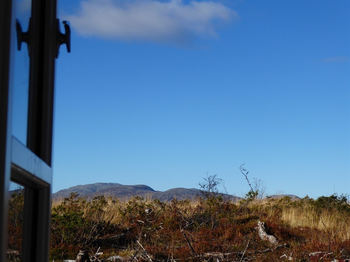 2016-10-08 15.22.35 Galleribilde