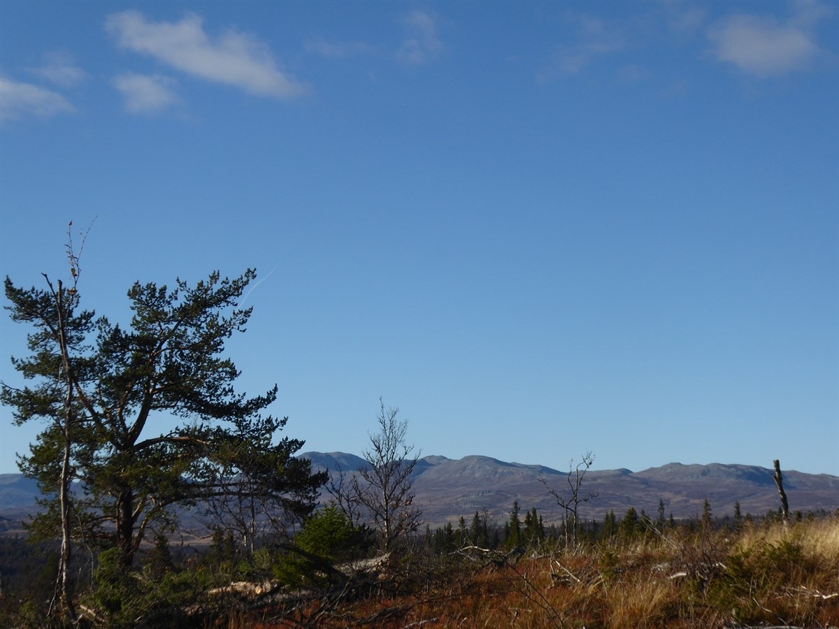 2016-10-08 15.23.50 Galleribilde