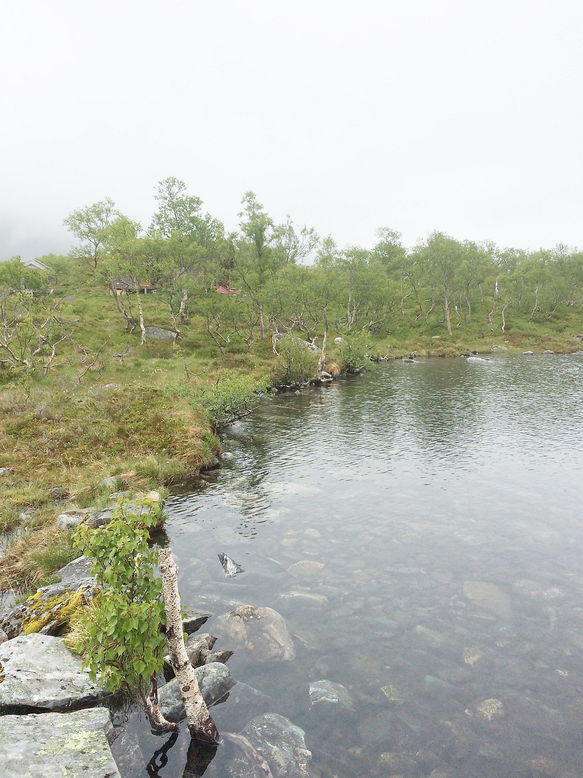 Badevatn i nærområdet. Galleribilde