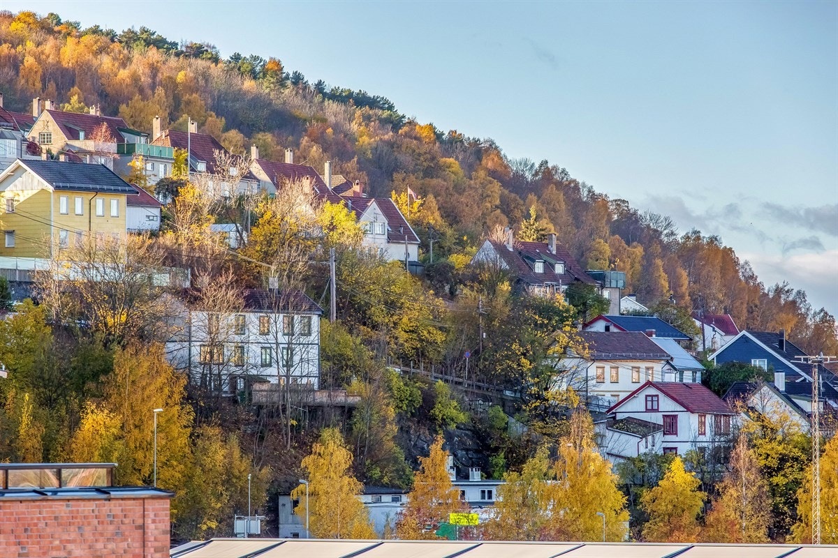 Utsikt bl.a. til Ekeberg Galleribilde