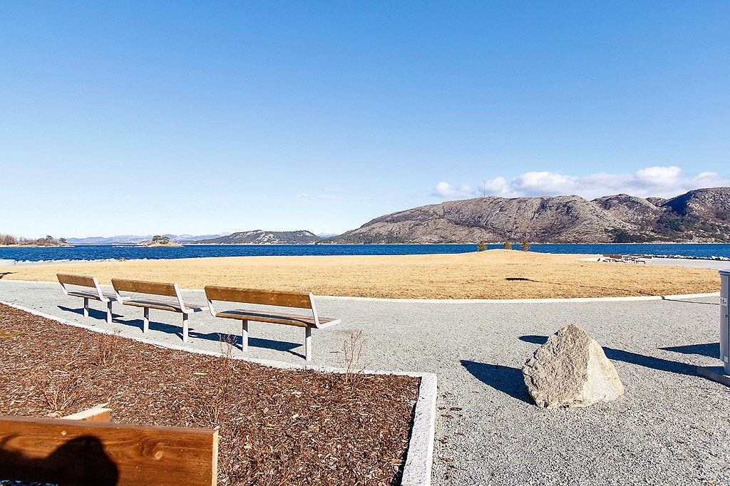 Nærmiljø Galleribilde