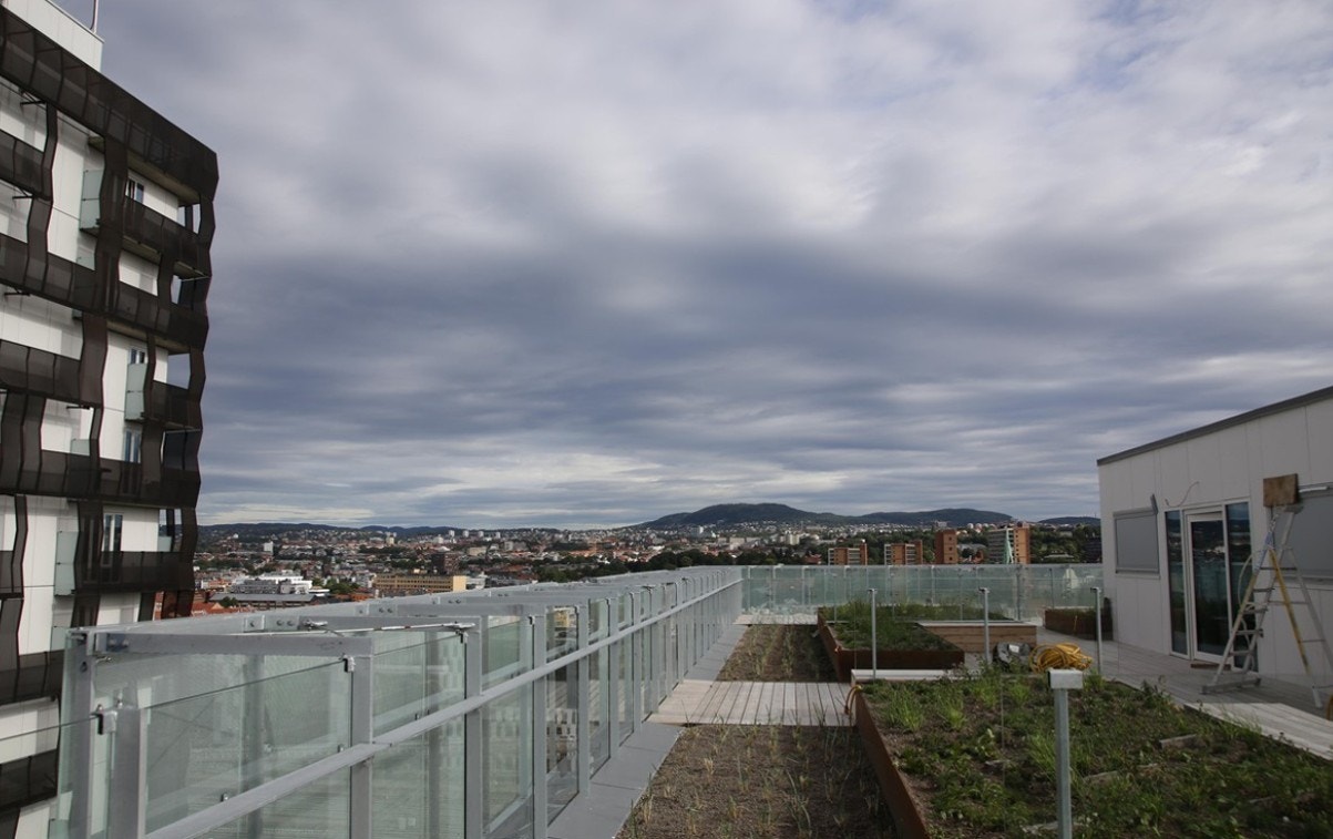 Takterrasse Galleribilde