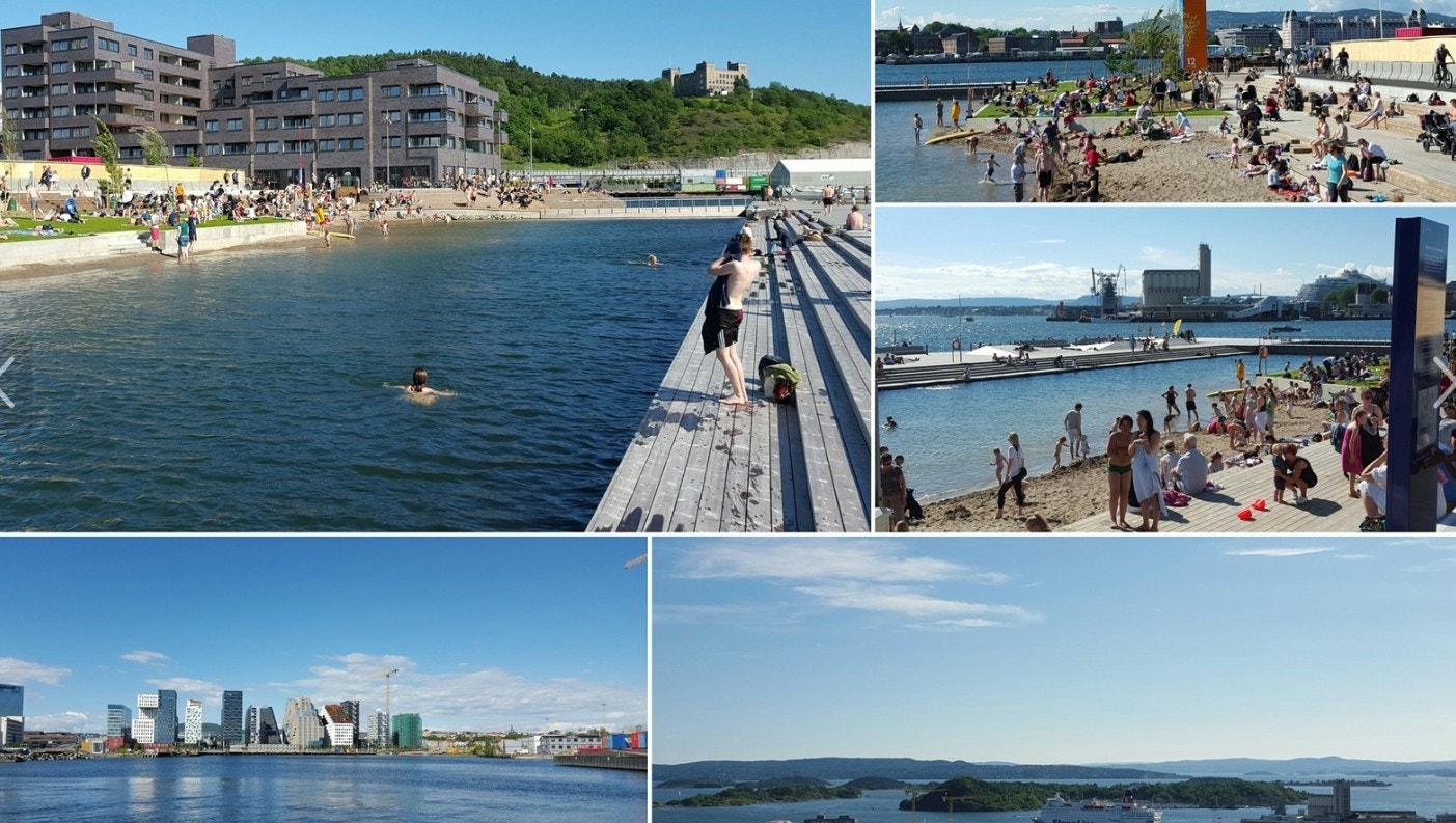 Sommerliv Galleribilde
