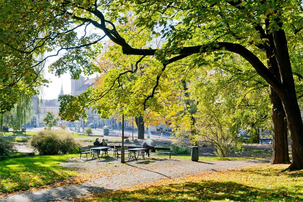 St.Hanshaugen ligger rett ved leiligheten. Dette er populær park! Galleribilde