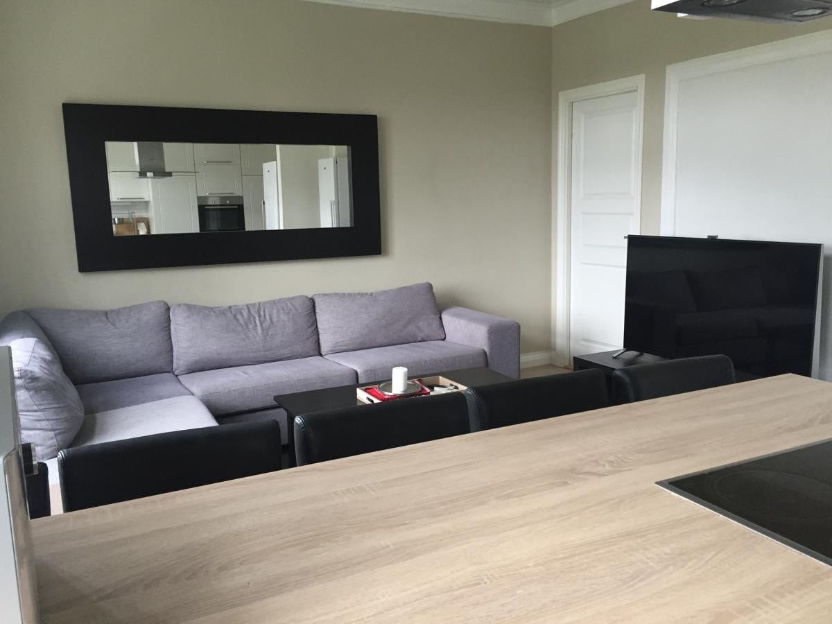 Romslig stue med 50" TV Galleribilde