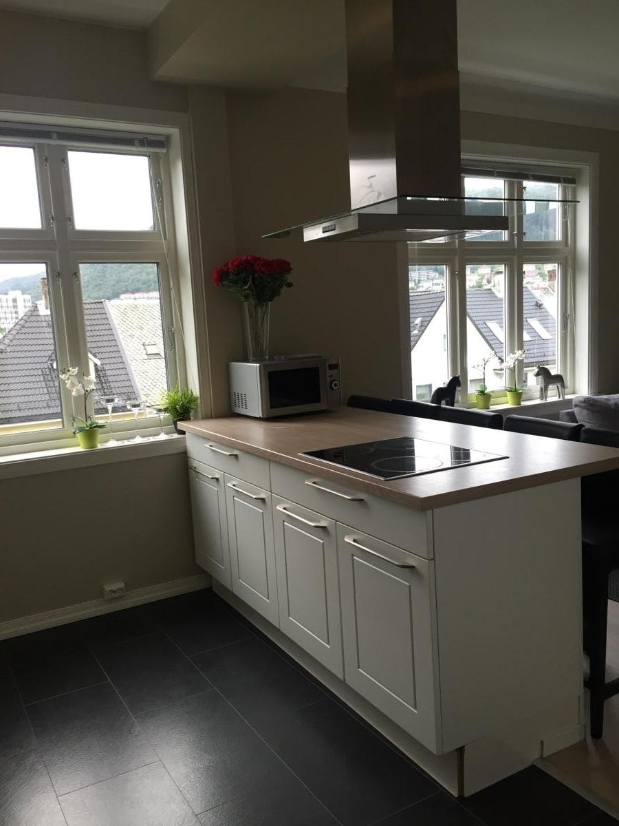 Kjøkkenøy med induksjon platetopp - god plass til matlaging Galleribilde