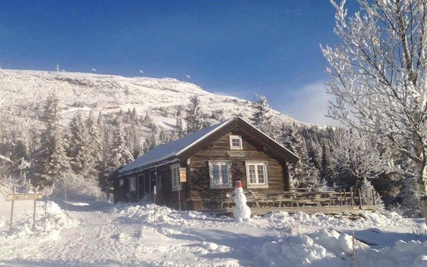 Skeistua i vinterlandskap. Galleribilde
