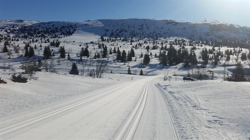 Foto: Knut Erik B.Hagen Galleribilde