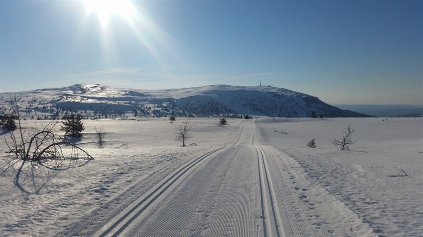 Foto: Knut Erik B.Hagen Galleribilde