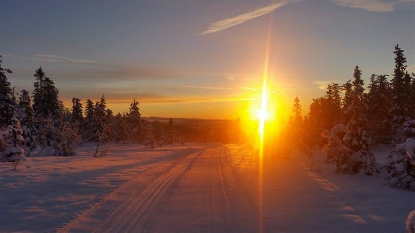 Foto: Knut Erik B.Hagen Galleribilde