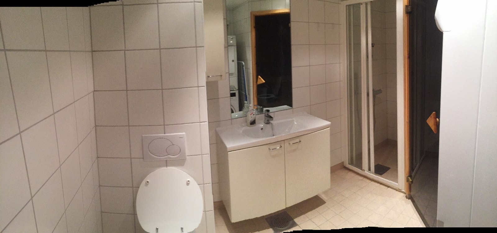 Toalett med dusj, badstue, vaskemaskin og tørketrommel. Galleribilde