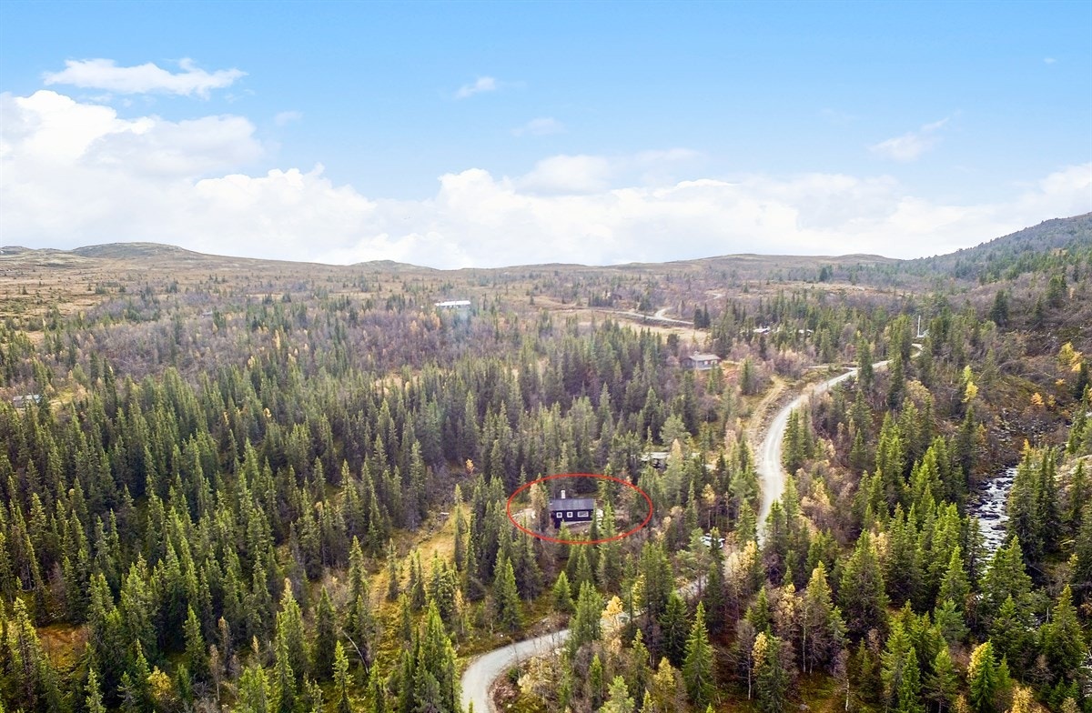 Høydefoto Galleribilde