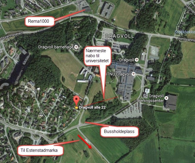 Bussholdeplass er flyttet ca 100m lengre unna Galleribilde