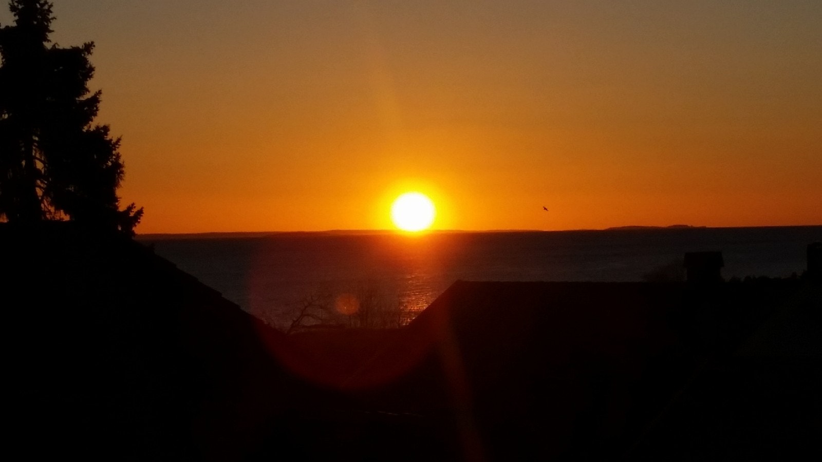 Soloppgang som du ser fra hybelleiligheten Galleribilde