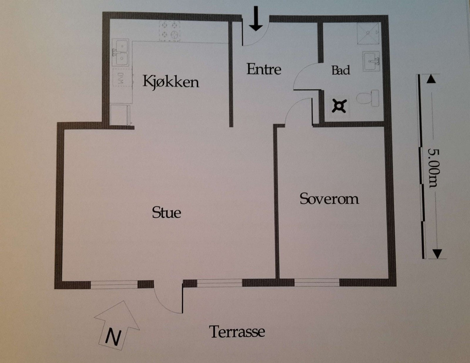 Romskisse Galleribilde