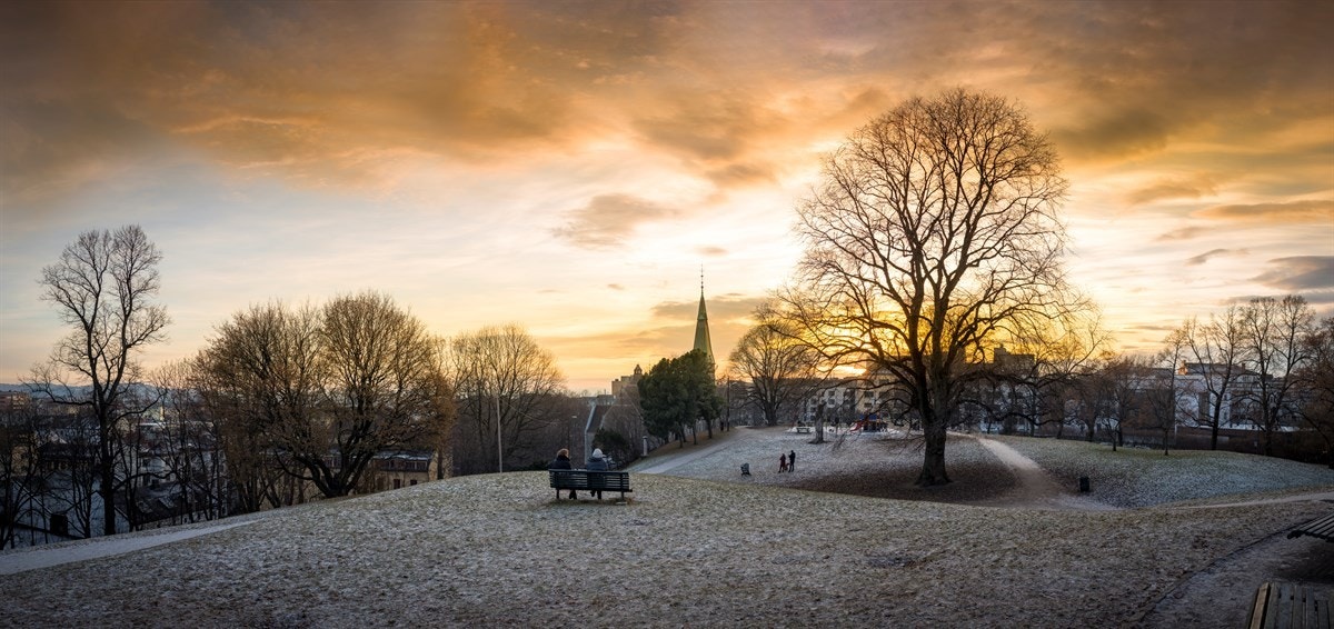 Utsikt fra Stensparken Galleribilde