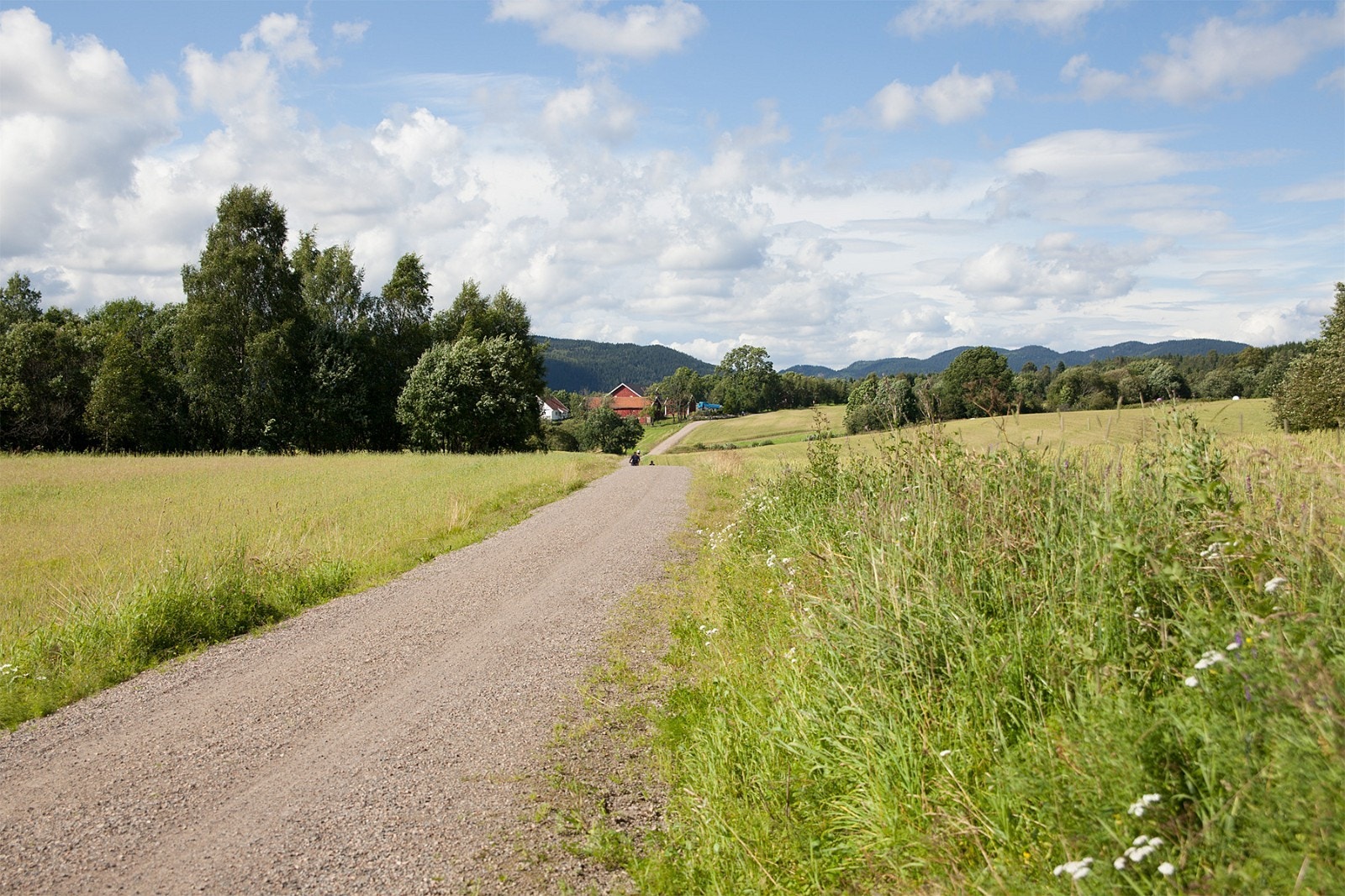20-30 minutter på sykkel til Maridalen Galleribilde