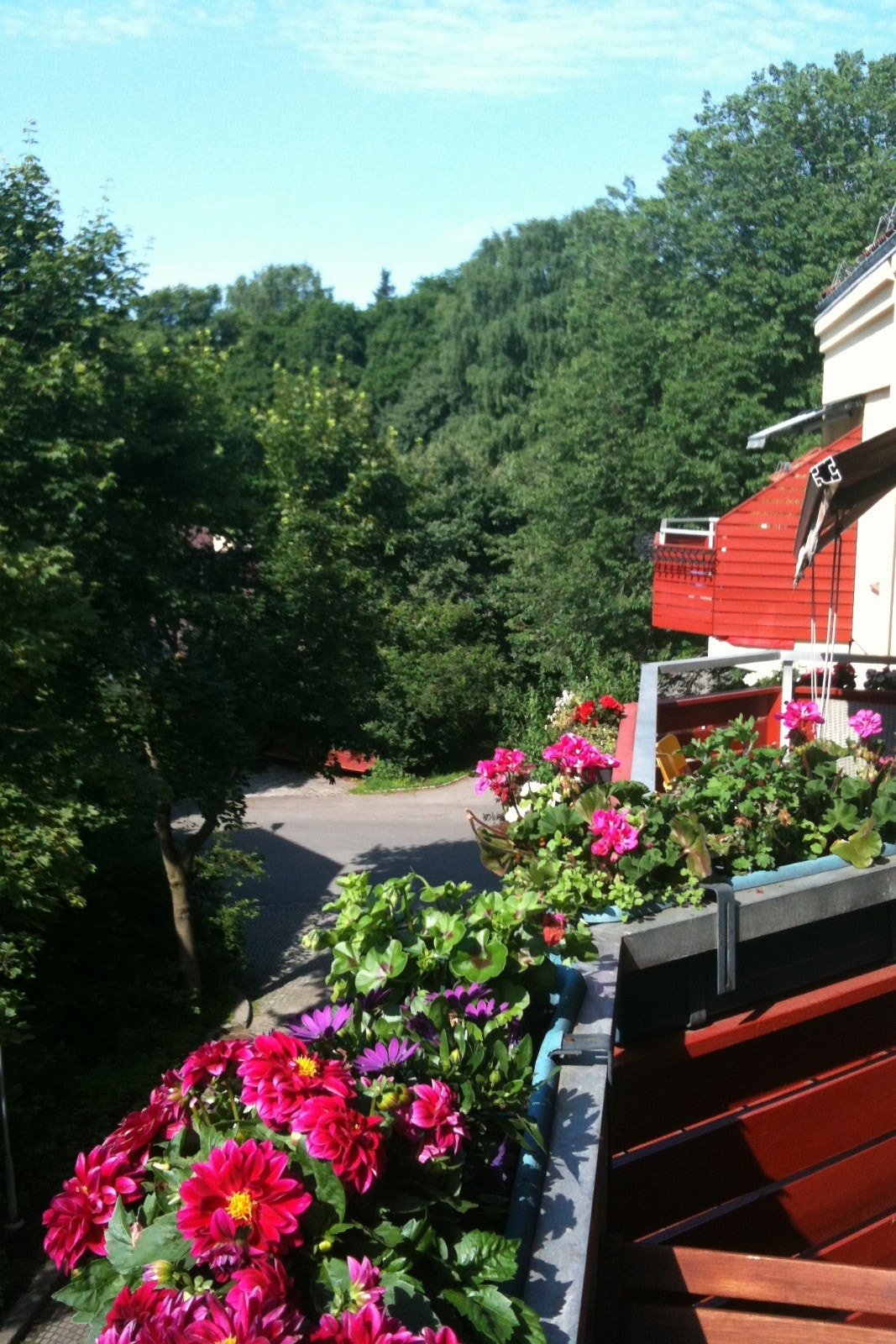 Blomsterkasser til bruk :) Galleribilde