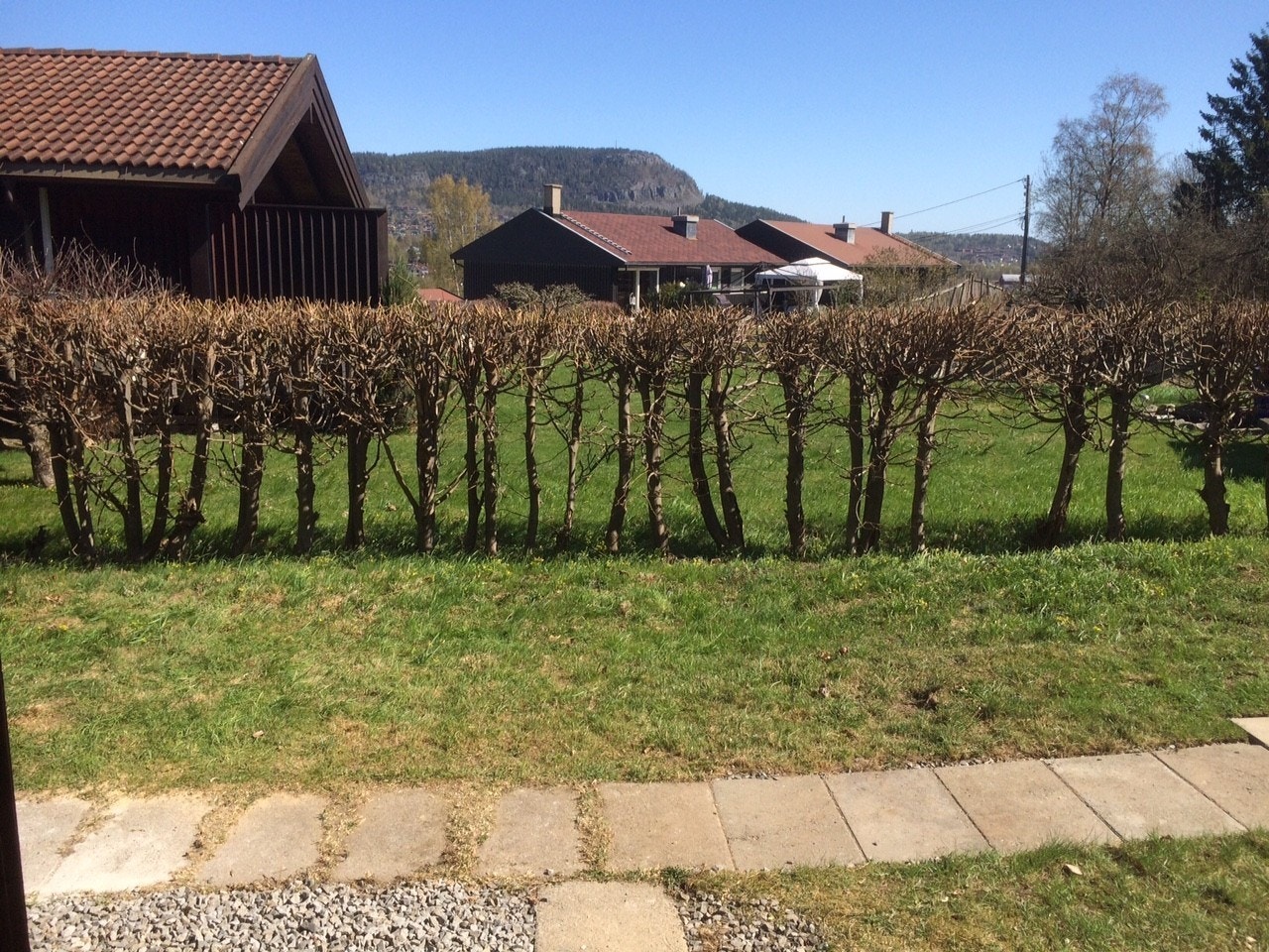 Fine uteområder til disposisjon Galleribilde