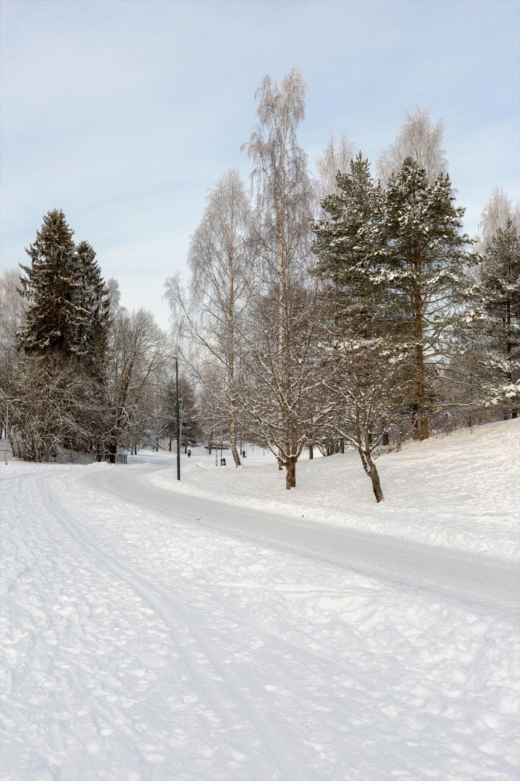 Flotte turveier, preparerte skiløyper og gangavstand til det meste. Galleribilde
