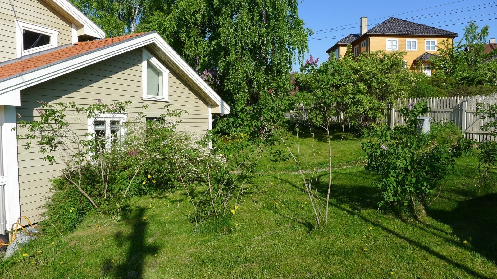 Hage utenfor egen inngang Galleribilde