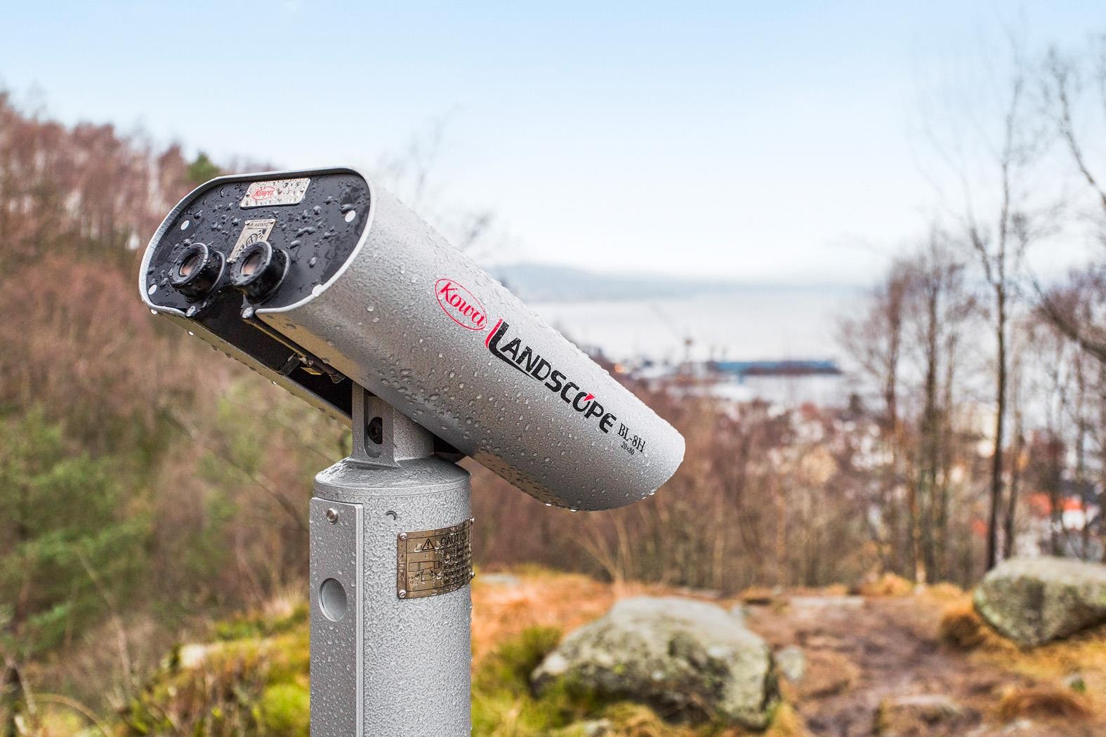 Flotte turløyper i umiddelbar nærhet til eiendommen Galleribilde