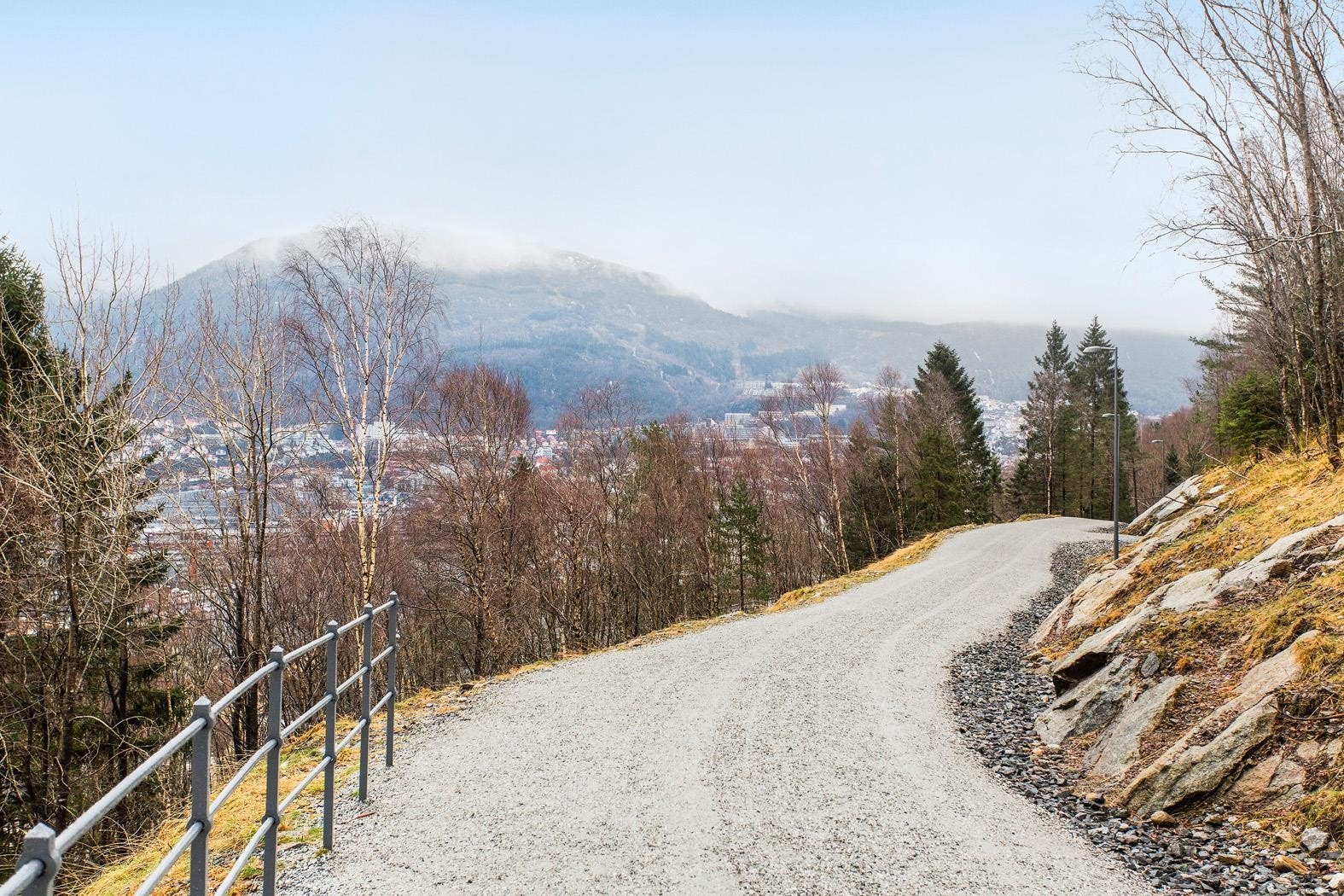 Kort vei til tursti til Løvstakken. Løvstien (turvei fra Kråkenes til Melkeplassen) går også forbi like over eiendommen. Galleribilde
