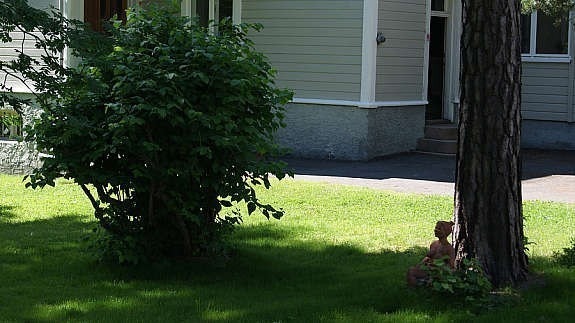 Garden view Galleribilde