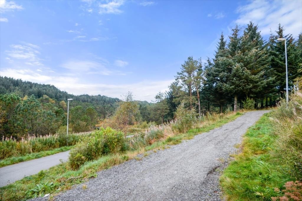 Turstier Galleribilde